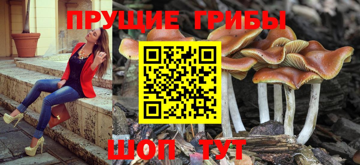 Галлюциногенные грибы GOLDEN TEACHER Нижний Тагил