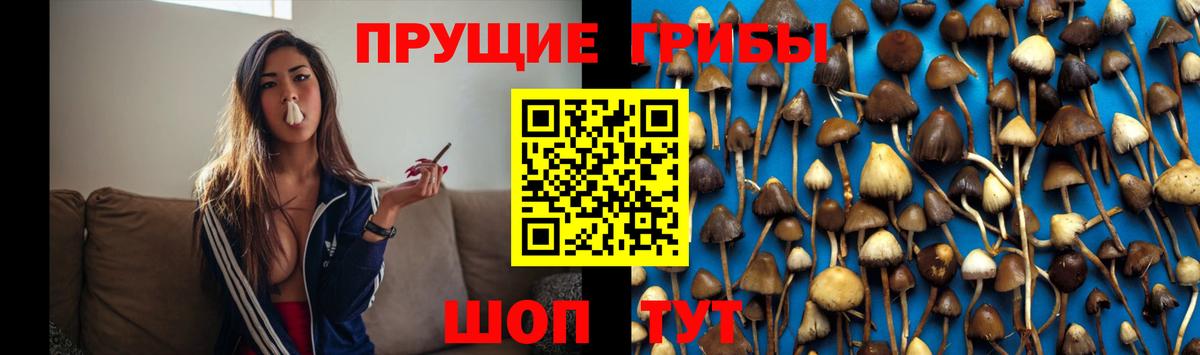 Нижний Тагил  Галлюциногенные грибы Magic Shrooms  купить наркотик  Вход с VPN 